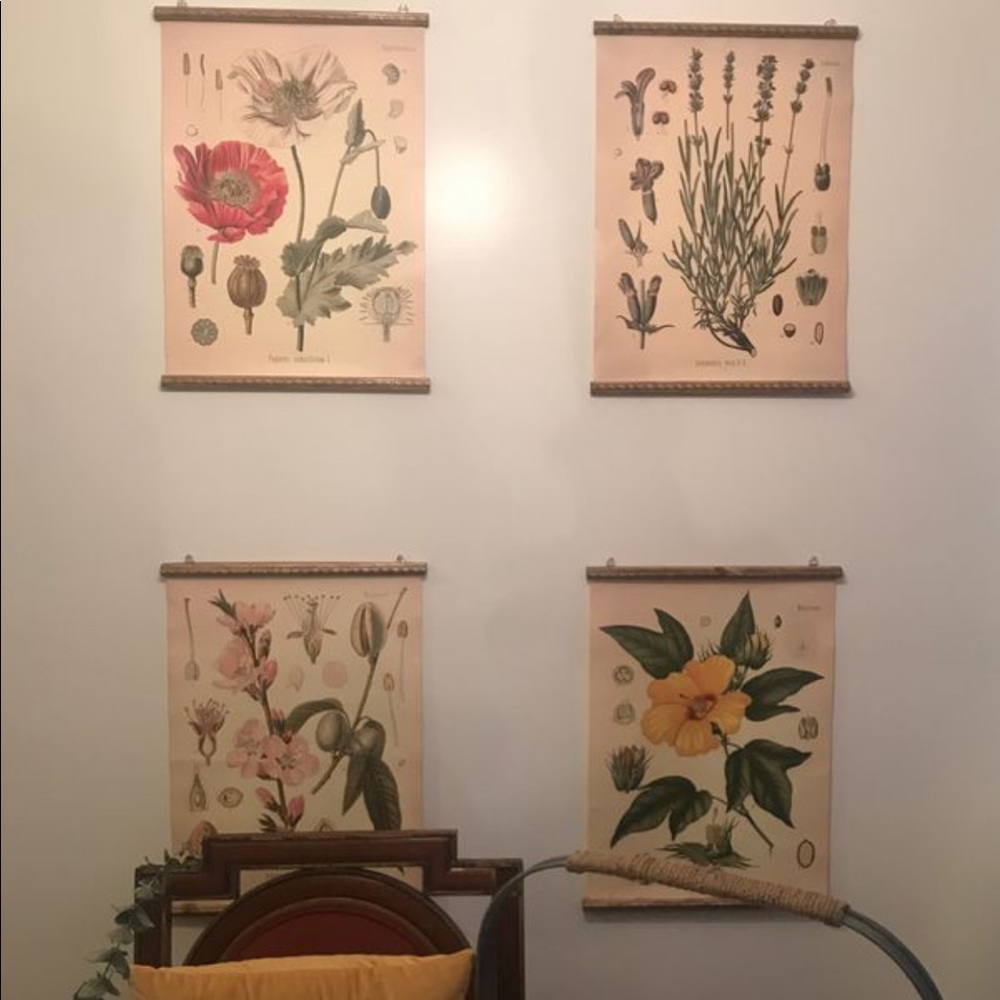 Flowers printed on canvas & scrolled
